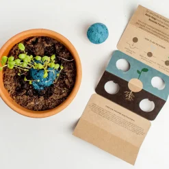 Resetea Bomby nasienne - Atlantic Garden, 2szt.