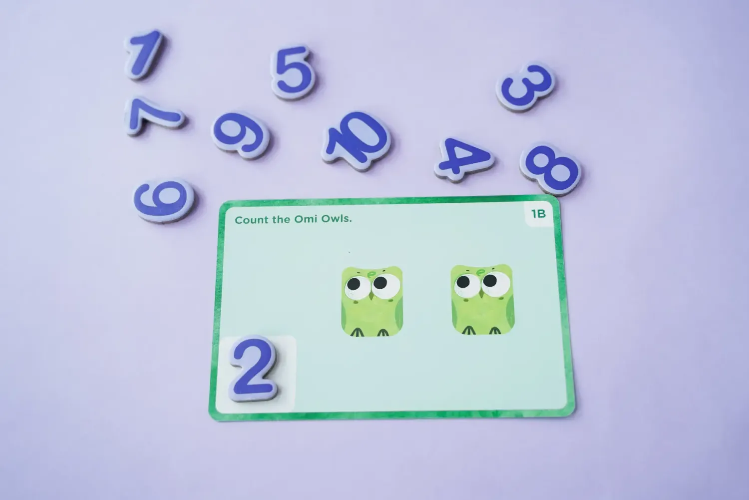 mierEdu Gra edukacyjna Omi Owl