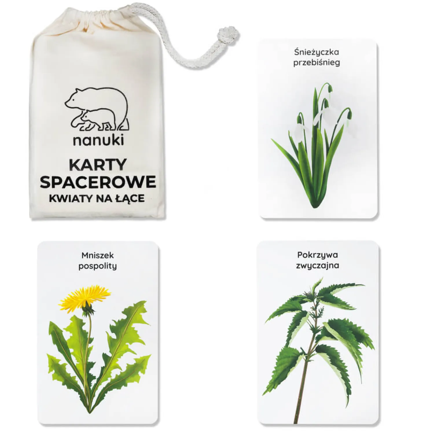 Nanuki Karty Spacerowe - Kwiaty Na Łące