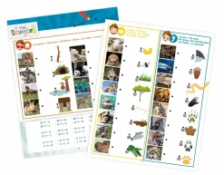 Buki Latarka 3 w 1 - Mini Sciences