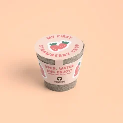 Resetea Mini doniczka - Truskawki