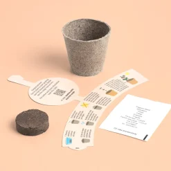Resetea Mini doniczka - Truskawki