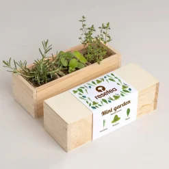 Resetea Mini ogród - Mediterranean