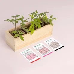 Resetea Mini ogród - Pomidory