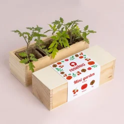 Resetea Mini ogród - Pomidory