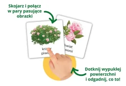 Kapitan Nauka Montessori. Karty sensoryczne z książeczką. Przyroda tu i tam
