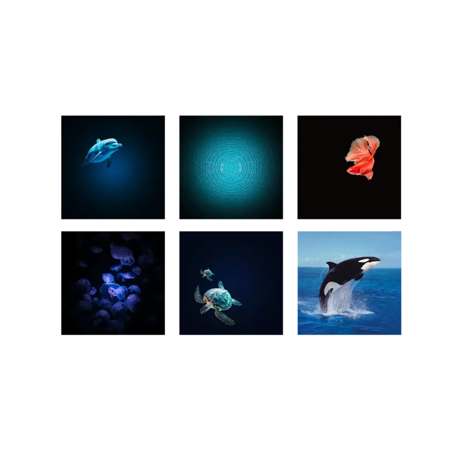 Kidywolf Projektor KIDYSTAR - Ocean