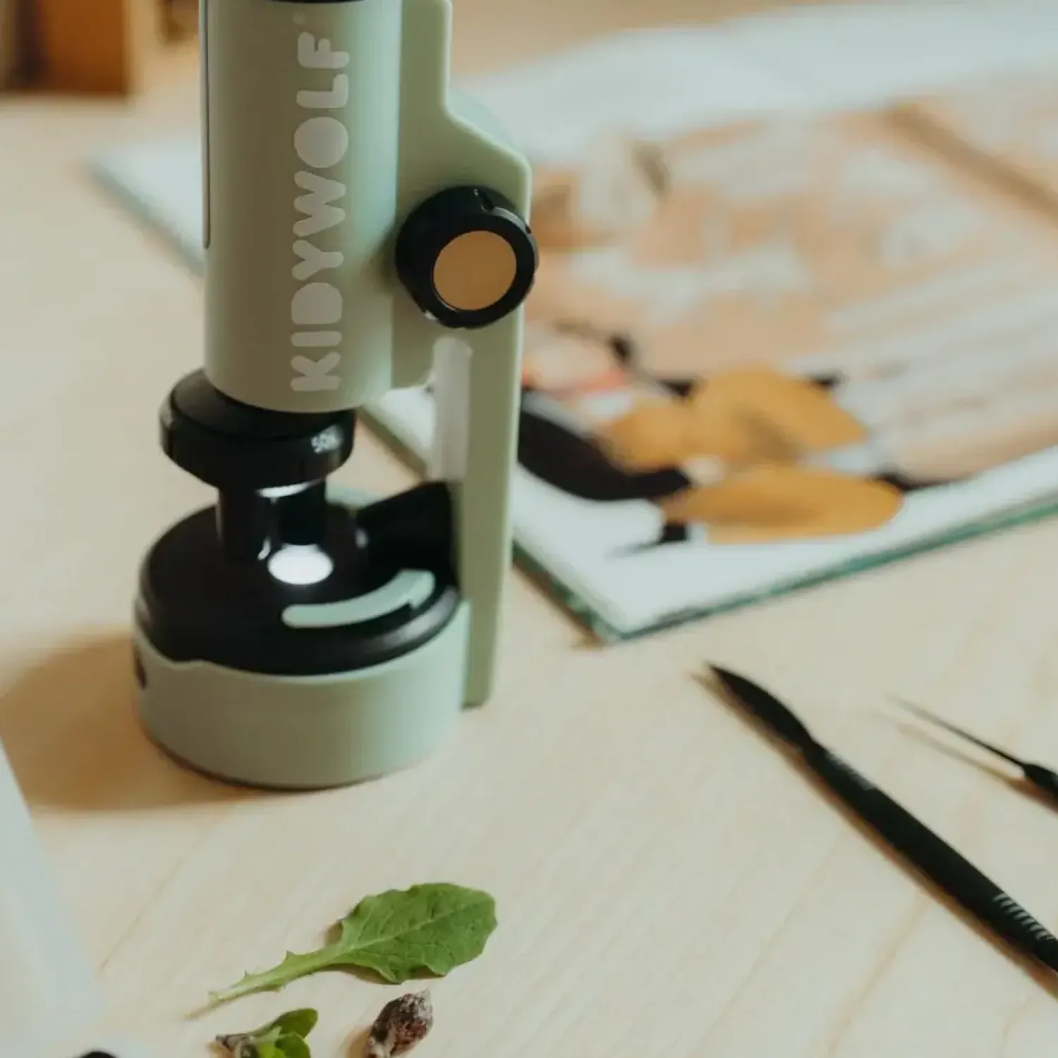 Kidywolf Przenośny mikroskop KIDYMICROSCOPE - zielony