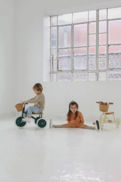 Banwood Rowerek trójkołowy Trike Dark Green