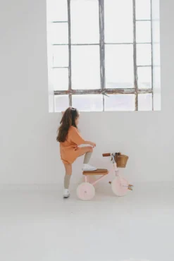 Banwood Rowerek trójkołowy Trike Pink