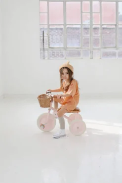 Banwood Rowerek trójkołowy Trike Pink