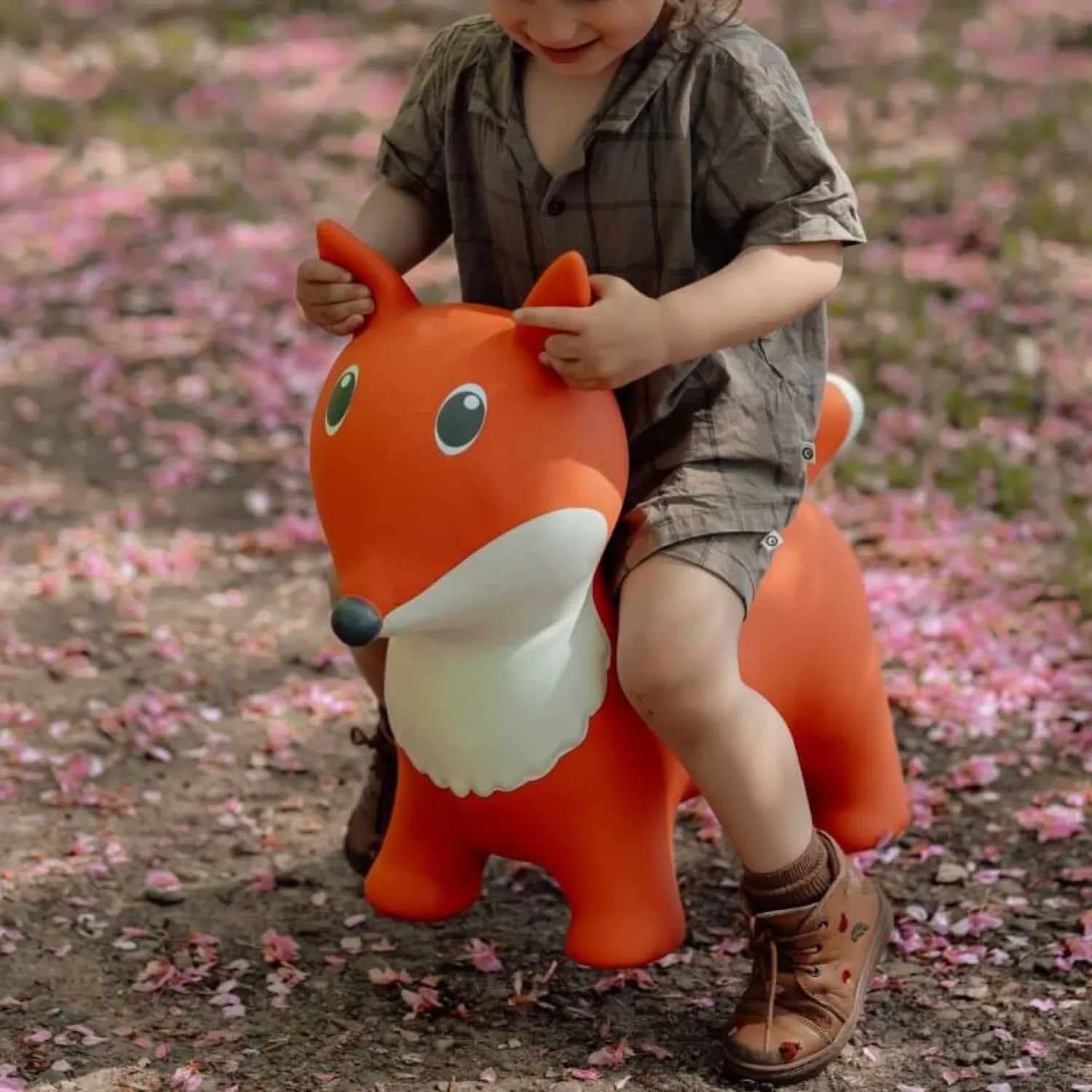 Find that Hippo Skoczek - Lis
