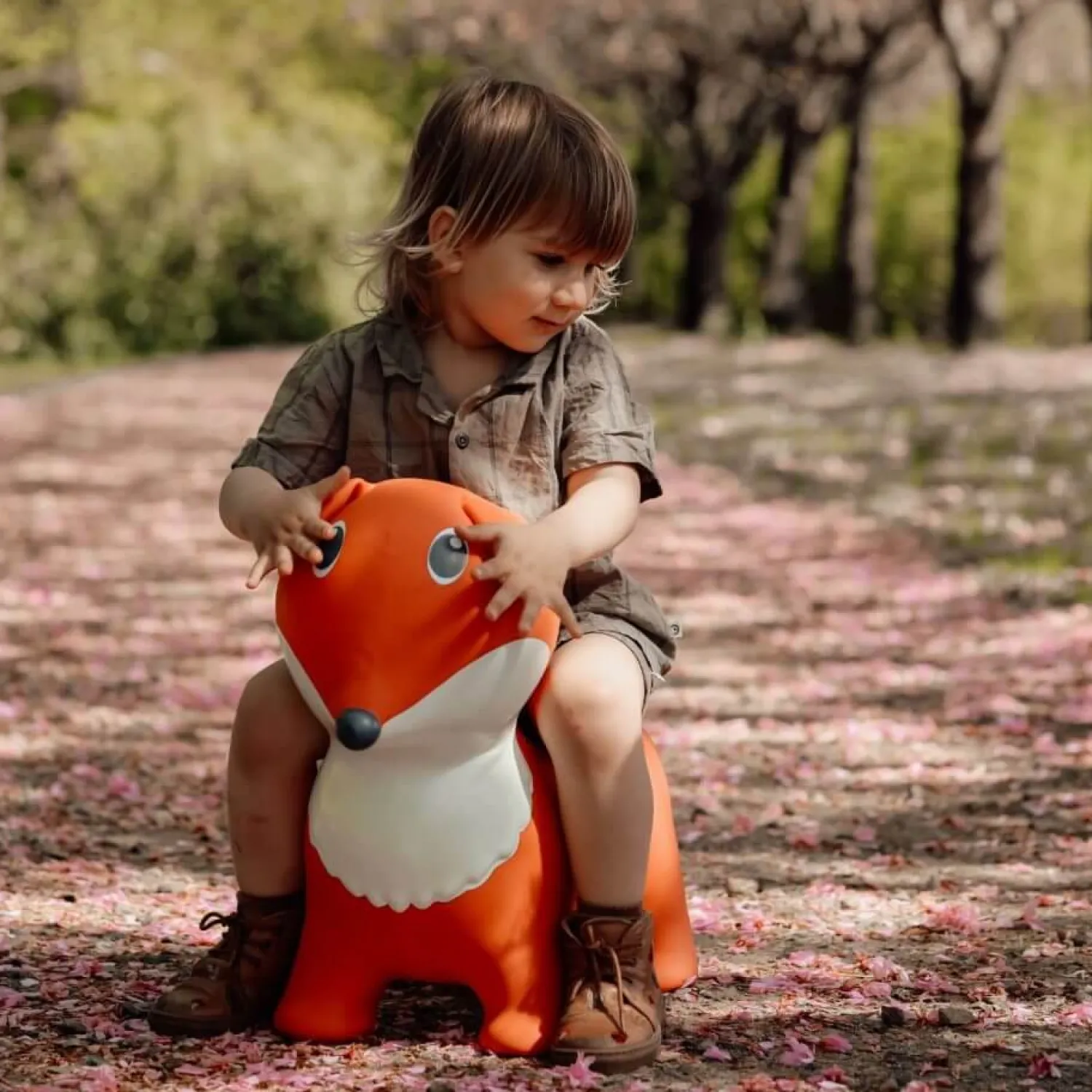 Find that Hippo Skoczek - Lis
