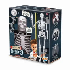 Dzieci Buki Szkielet człowieka - 85 cm