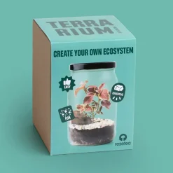 Resetea Terrarium w słoiku
