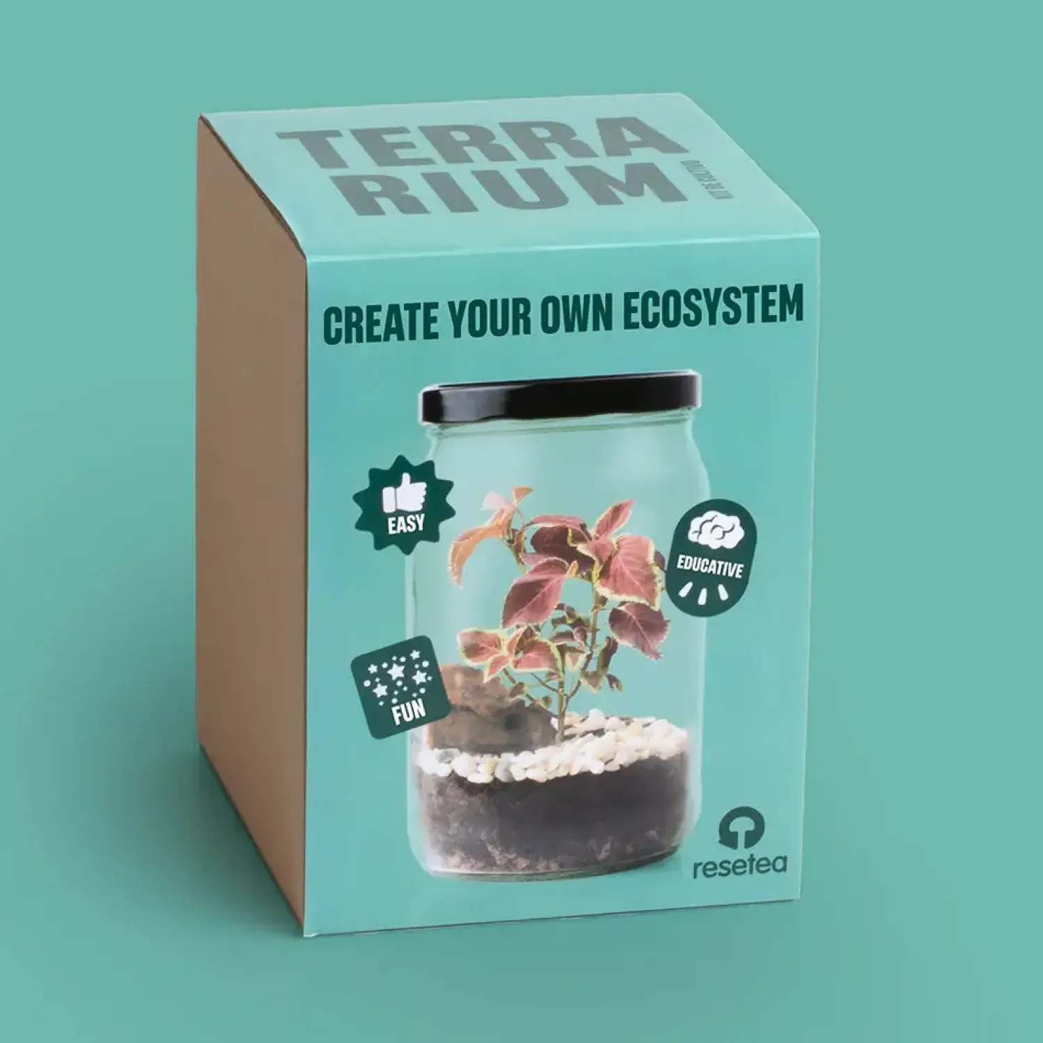 Resetea Terrarium w słoiku