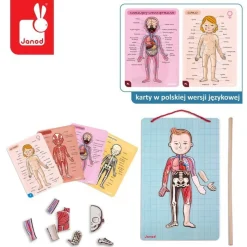 Janod Układanka magnetyczna ciało człowieka