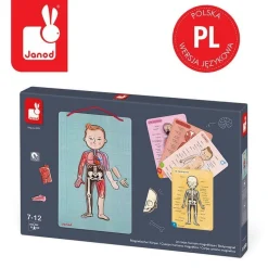 Janod Układanka magnetyczna ciało człowieka