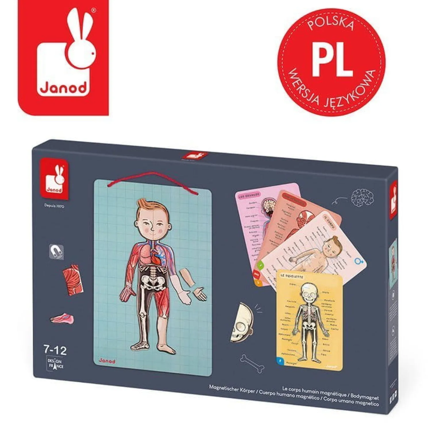 Janod Układanka magnetyczna ciało człowieka