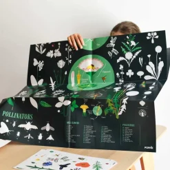 Poppik Wyklejanka - BOTANIKA