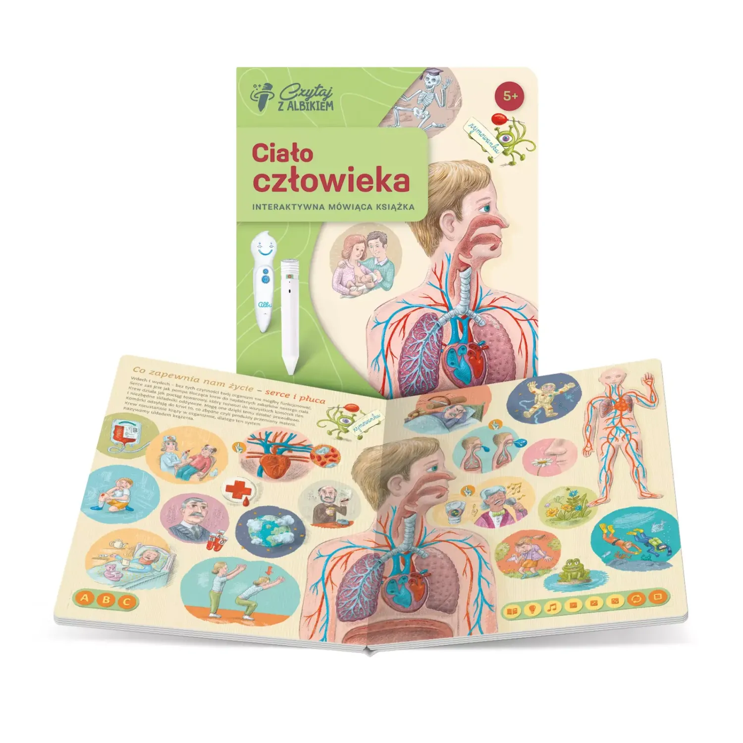 Albi Zestaw Ciało człowieka 5+