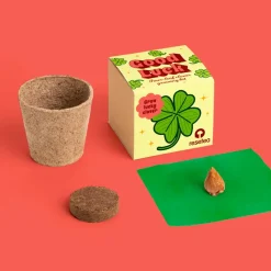 Resetea Zestaw do uprawy czterolistnej koniczyny - Good Luck