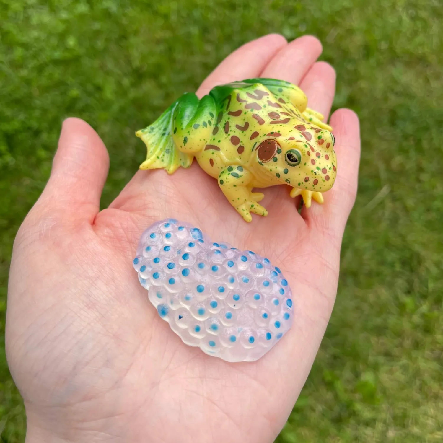 Insect Lore Zestaw figurek Cykl Życia Żaby
