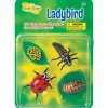 Insect Lore Zestaw figurek Cykl Życia Biedronki