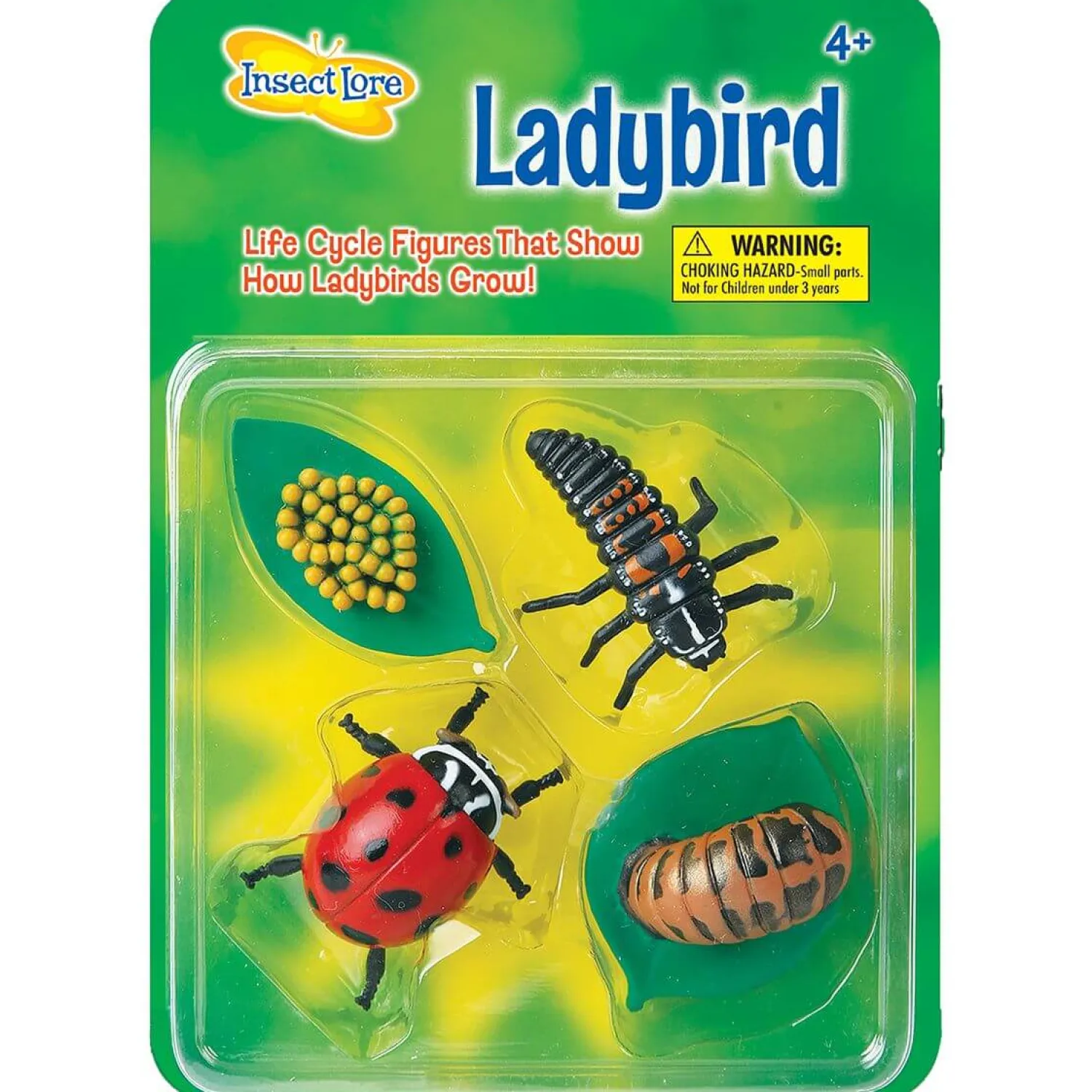 Insect Lore Zestaw figurek Cykl Życia Biedronki