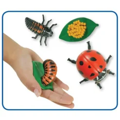 Insect Lore Zestaw figurek Cykl Życia Biedronki
