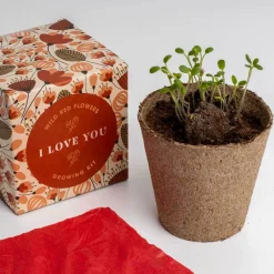 Resetea Zestaw prezentowy do sadzenia kwiatów Say it with Flowers - I love you